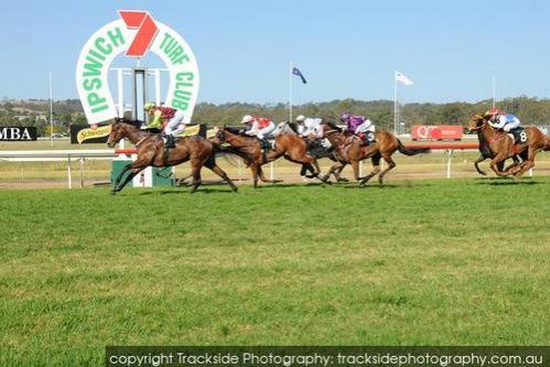 COUNT APOLLO WINS IPSWICH MAIDEN 1200m