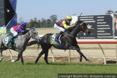 Flying Kyle Wins Echuca BM64 1600m