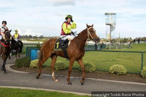 Impeccable Me Wins Warrnambool R58 1200m