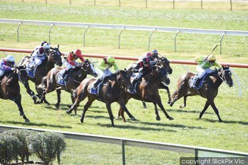Top Sight Returns Impressively At Bendigo