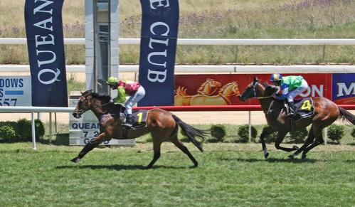 Bonee Tess Wins Queanbeyan