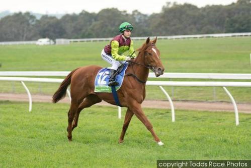 Miss Galato Wins Casterton BM58 1400m