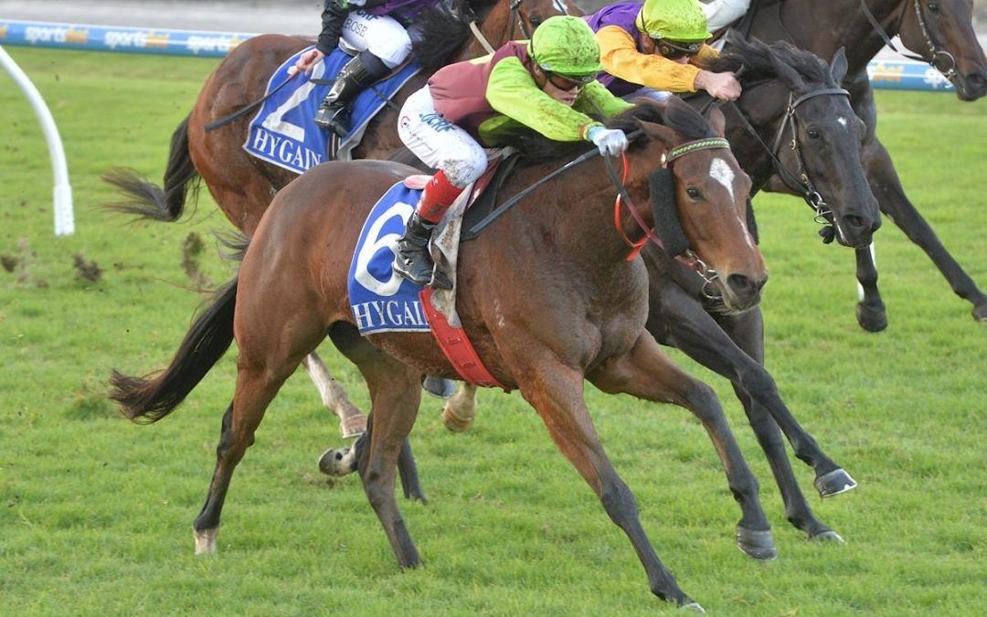 Gibbon Wins Pakenham