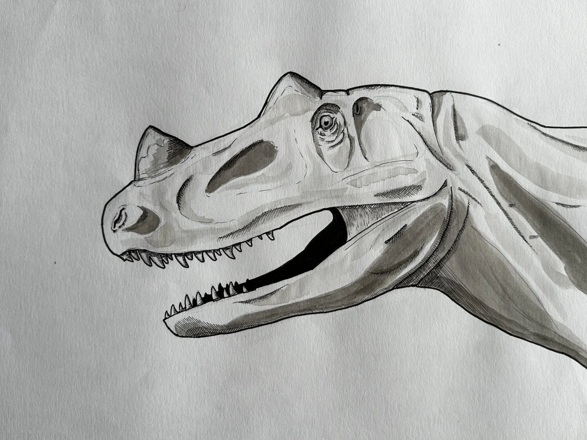 Ink rendering of a ceratosaurus in a restrained forward stance, horn and tail visible.