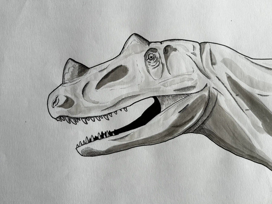 Ink rendering of a ceratosaurus in a restrained forward stance, horn and tail visible.