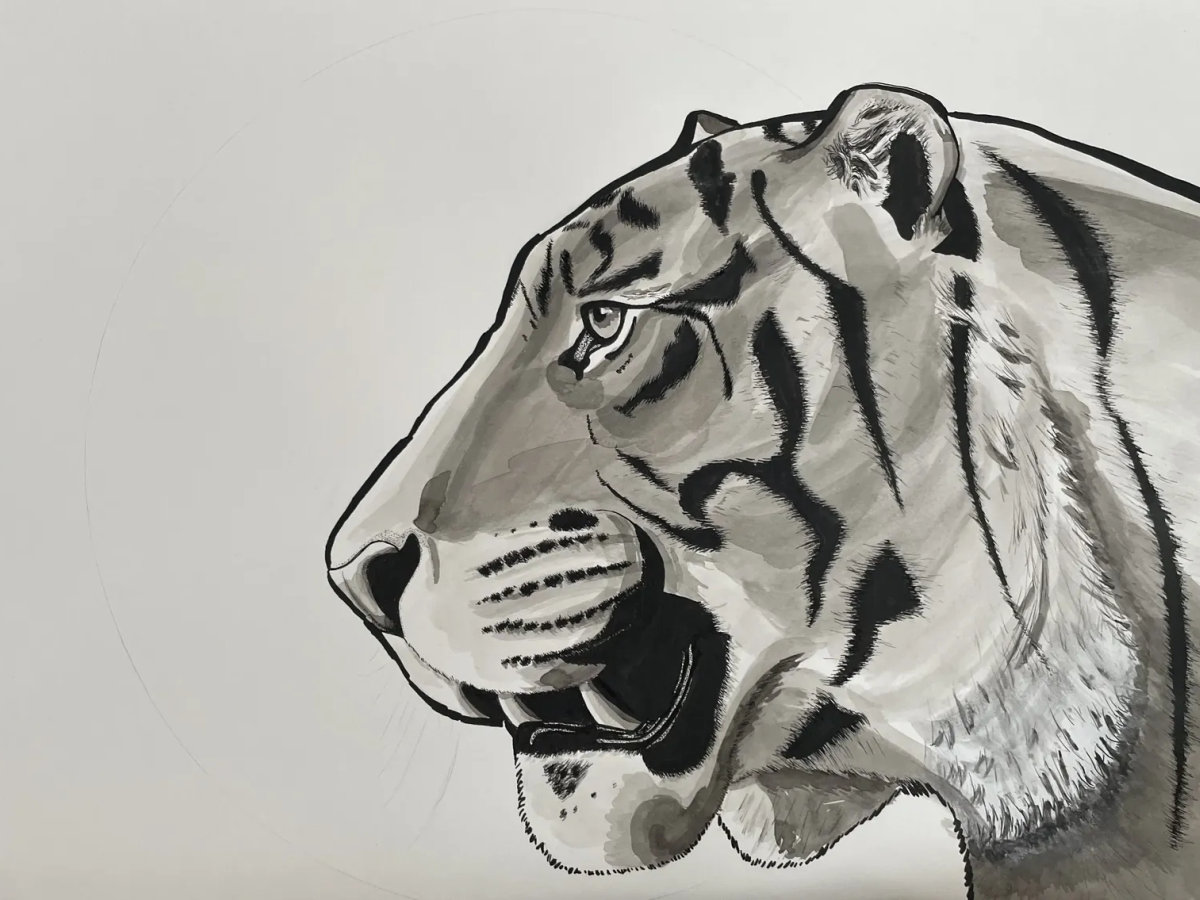 Ink portrait of a tiger in profile, rendered with calm posture and alert gaze.