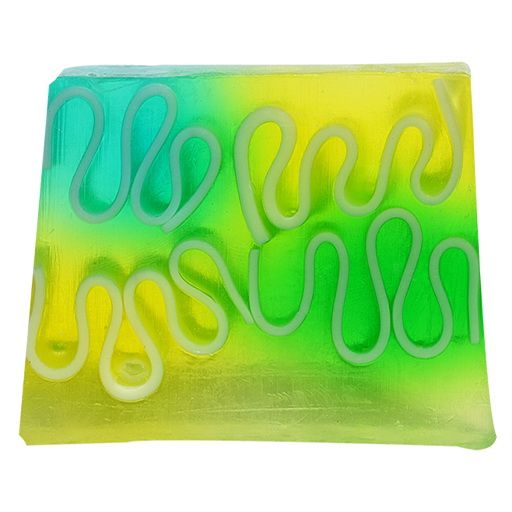 The Refresher Soap 100 gm