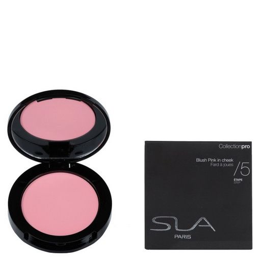 Pink in Cheek 01 Rose Powder Pink _SLA Blush 