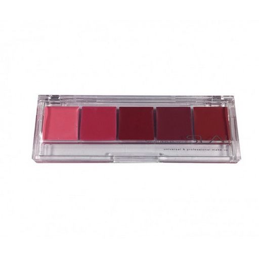 Palette Pro 5 #01 _SLA Lipstick 