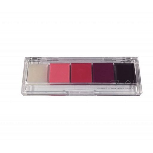Rouge A Levres Pro N 5 Color Extreme _SLA Palette 