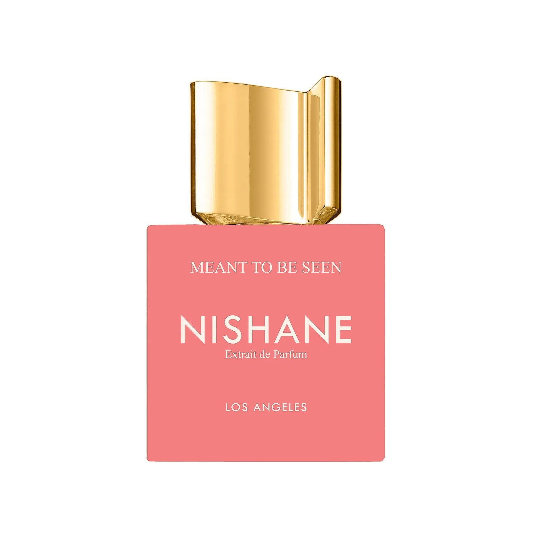NISHANE Meant To Be Seen 100 ml  