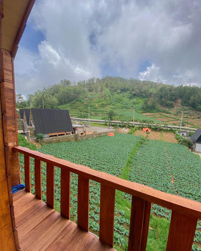 galeri Shiva Cabin Dieng 2 1