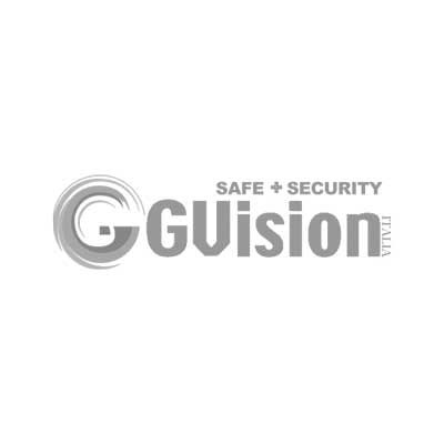 Logo Gvision Italia safe security geovision small retina bn