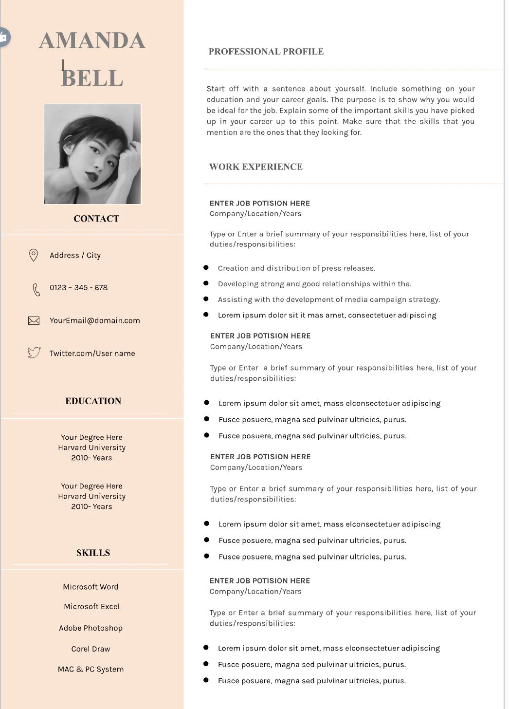 Template CV Profesional (Word) – ATS Friendly & Editable | CV Single Page #109