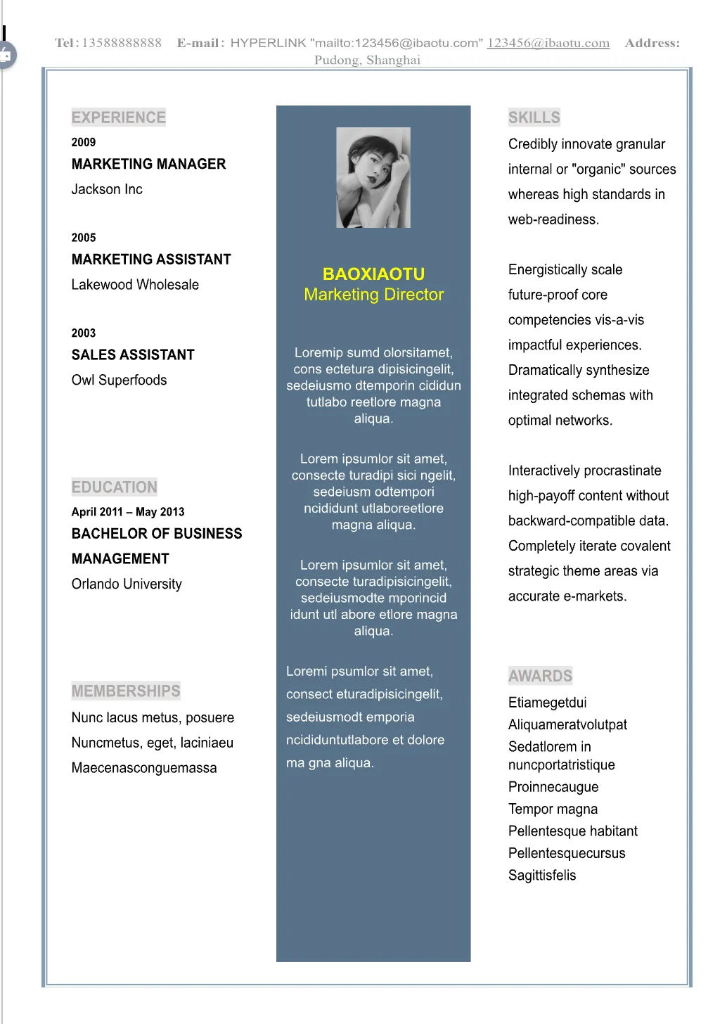 Template CV Profesional (Word) – ATS Friendly & Editable | CV Single Page #86