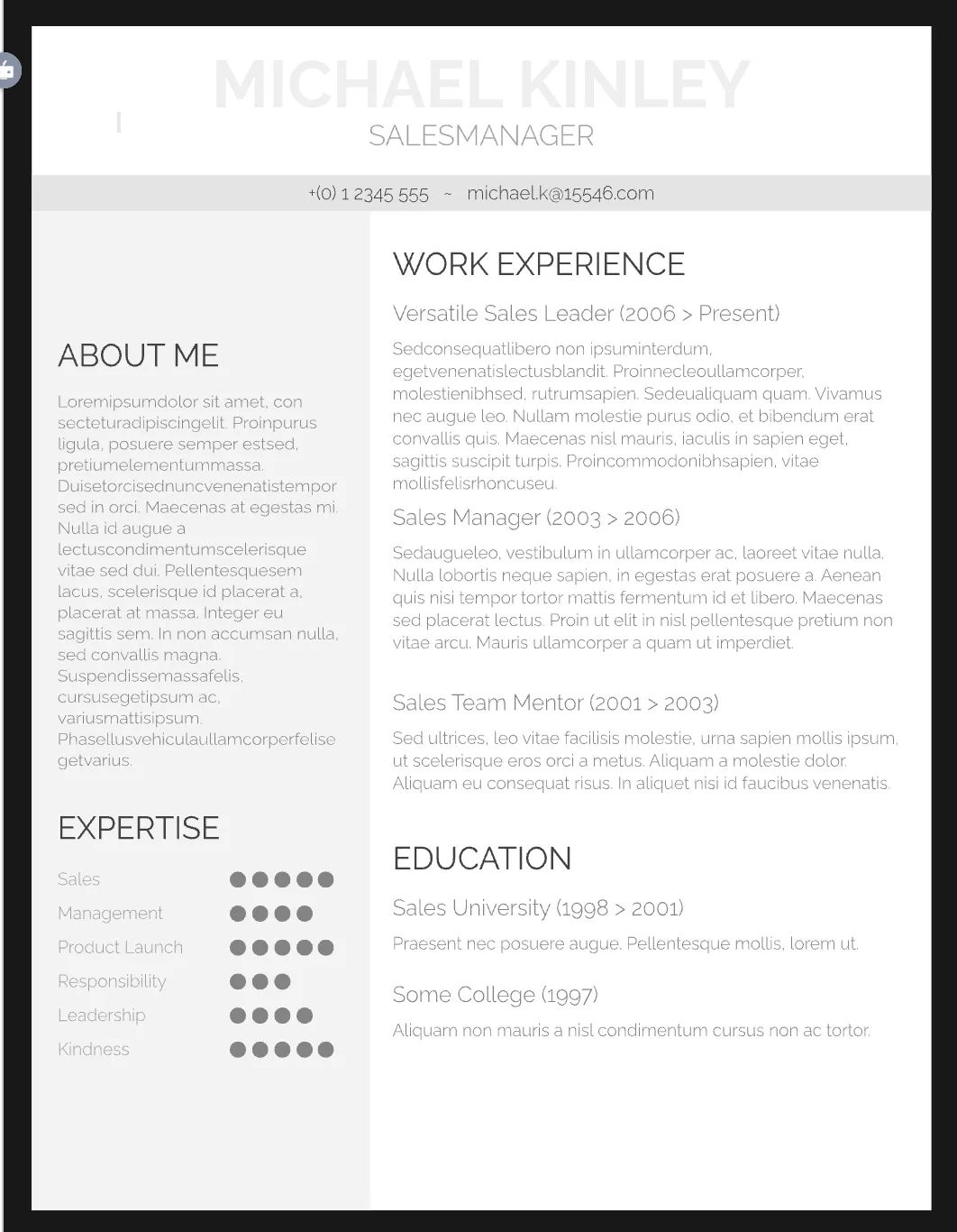 Template CV Profesional (Word) – ATS Friendly & Editable | CV Single Page #117
