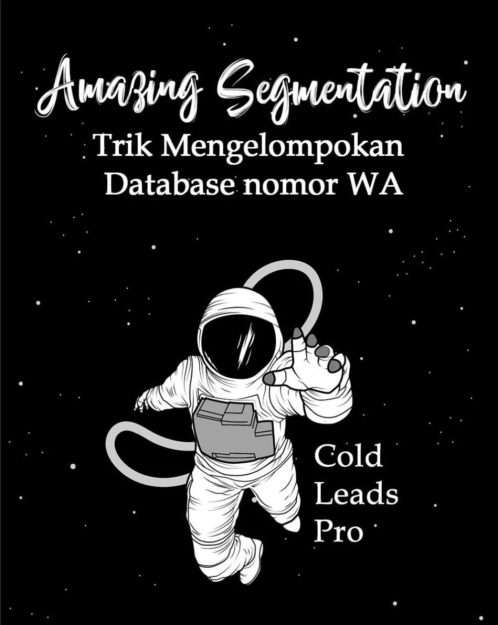 Amazing Segmentation: Trik Mengelompokan Database Nomor WA