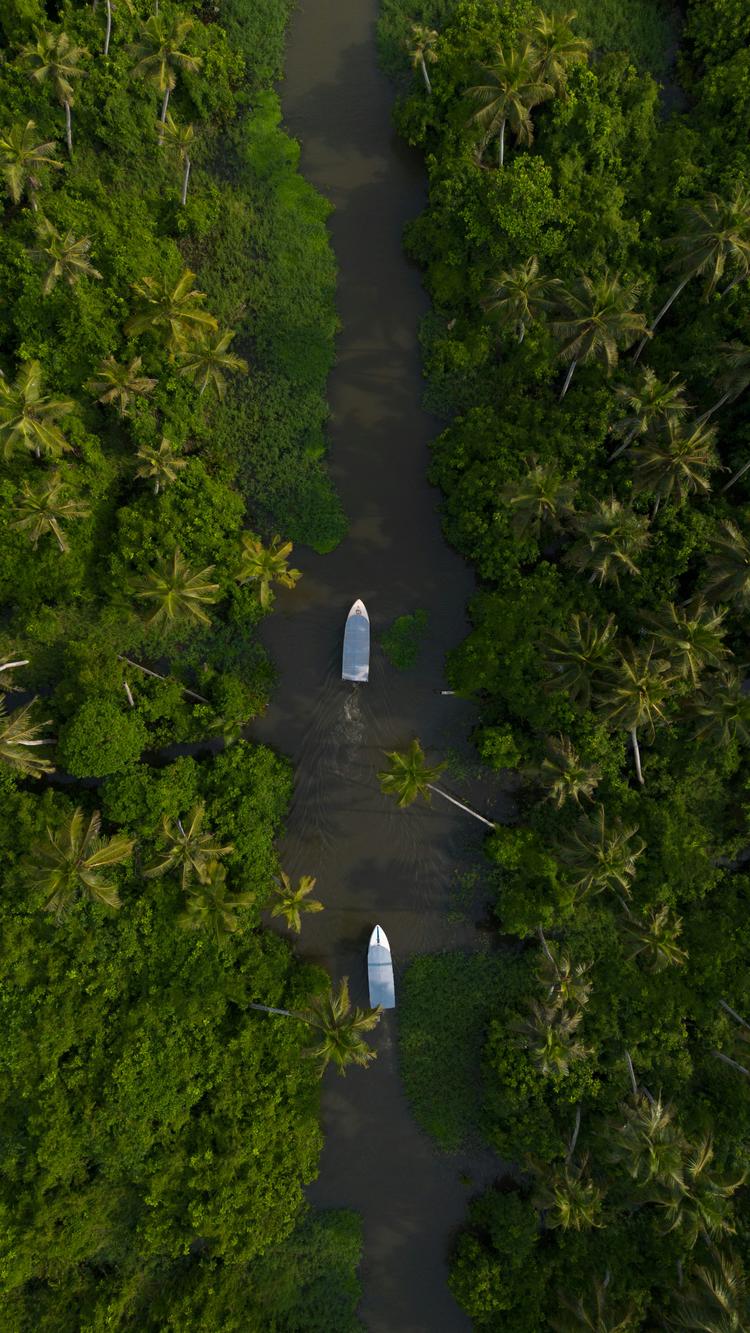 Kerala Backwaters & Hillscape Retreat