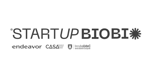 Startup Bío Bío