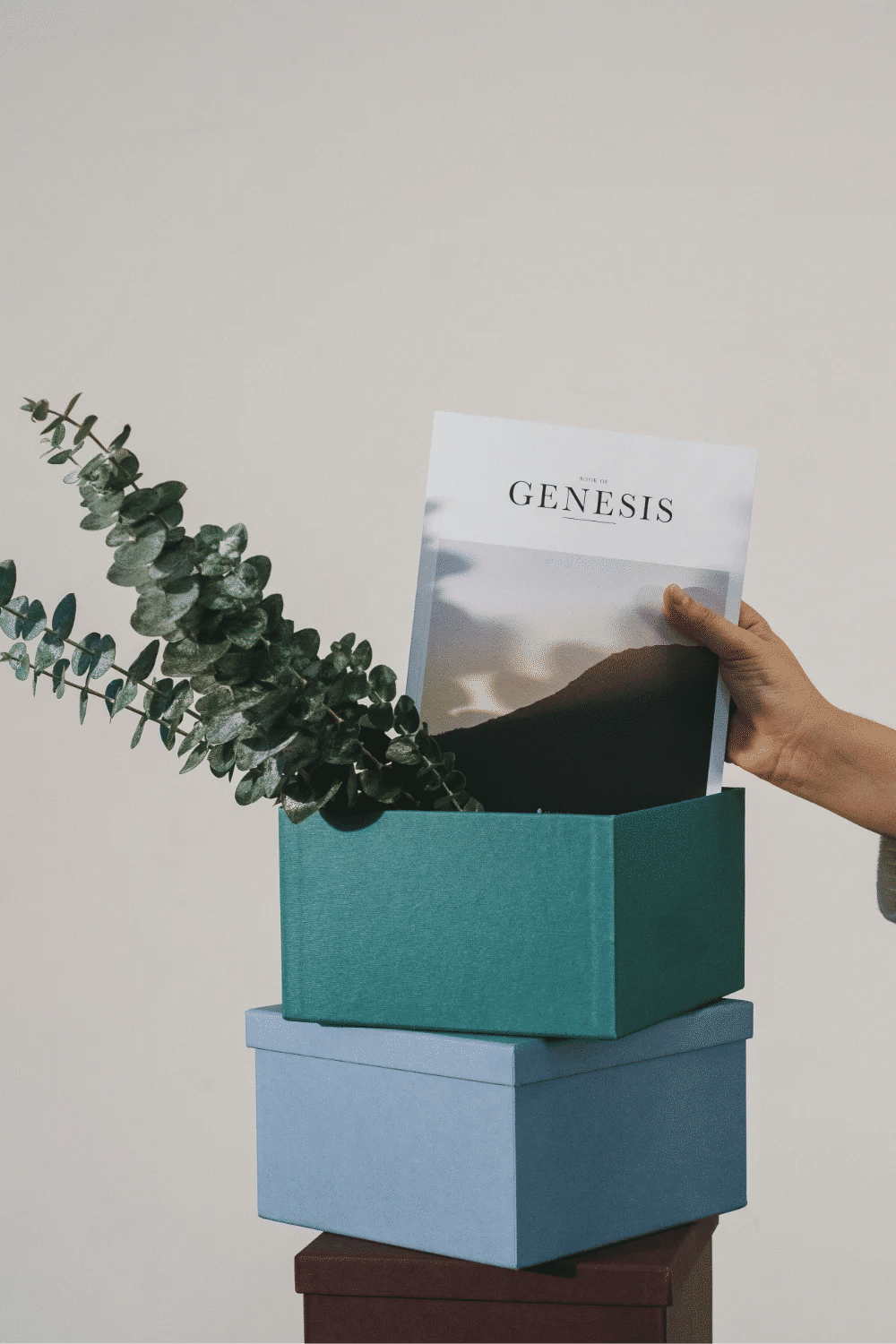 Box « Le Coup de Cœur du Libraire » (Abonnement 3 mois)
