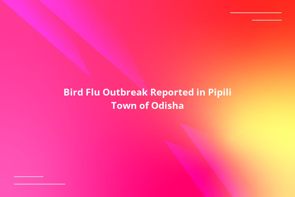 Bird Flu Outbreak Reported in Pipili Town of Odisha