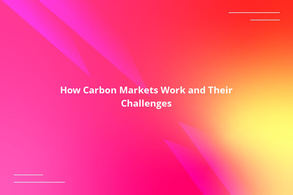 How Carbon Markets Work and Their Challenges