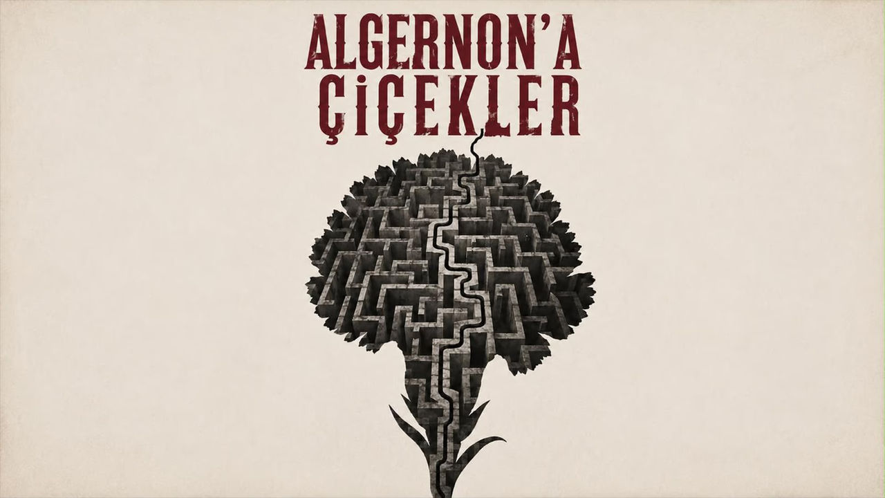 Algernona Çiçekler