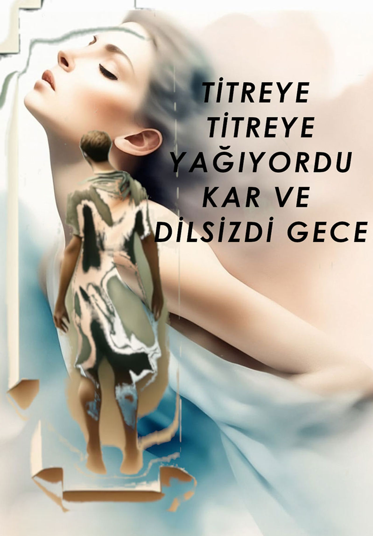 
                    Titreye Titreye Yağıyordu Kar ve Dilsizdi Gece                