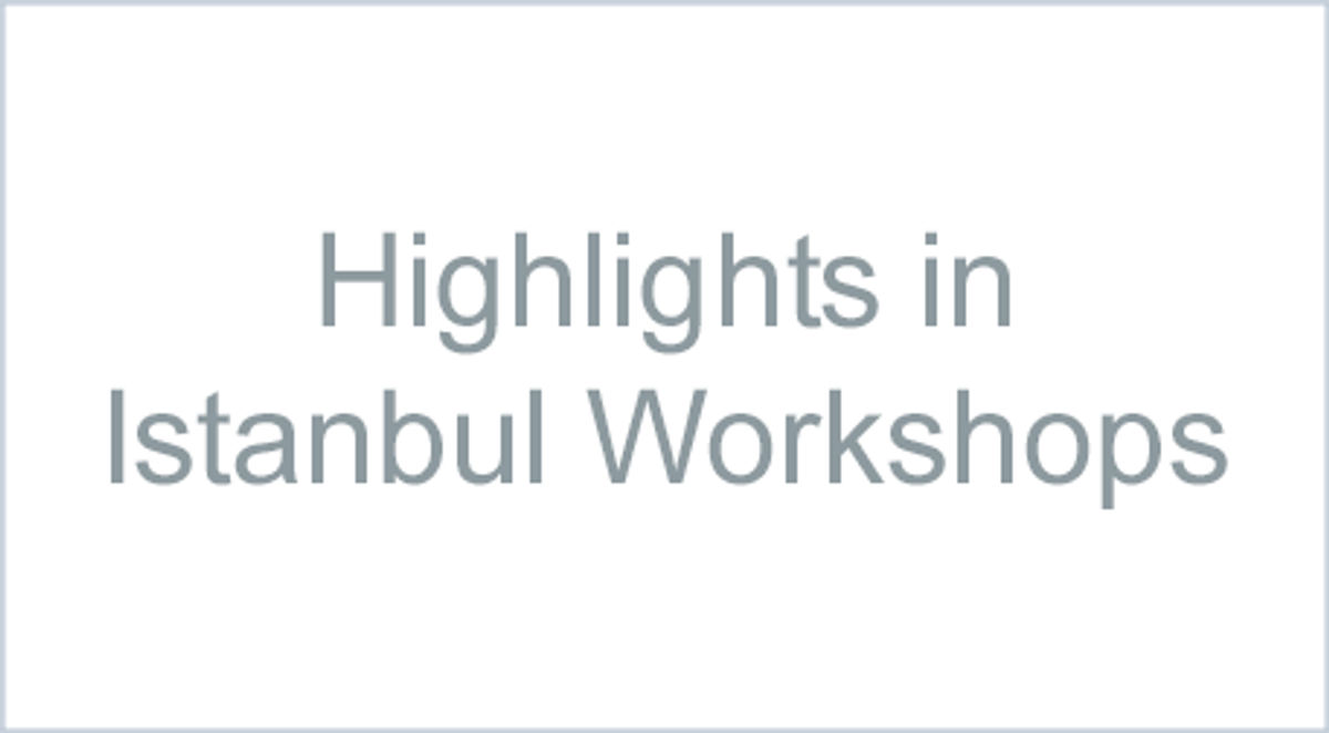 Highlights in Istanbul Workshops