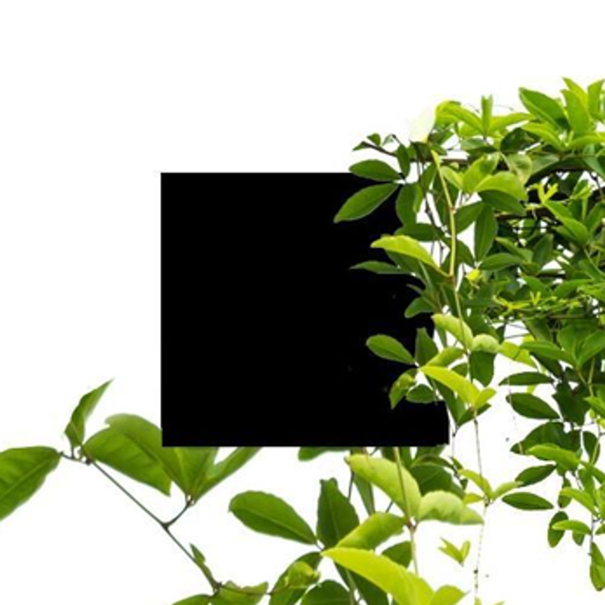 Klein Garten