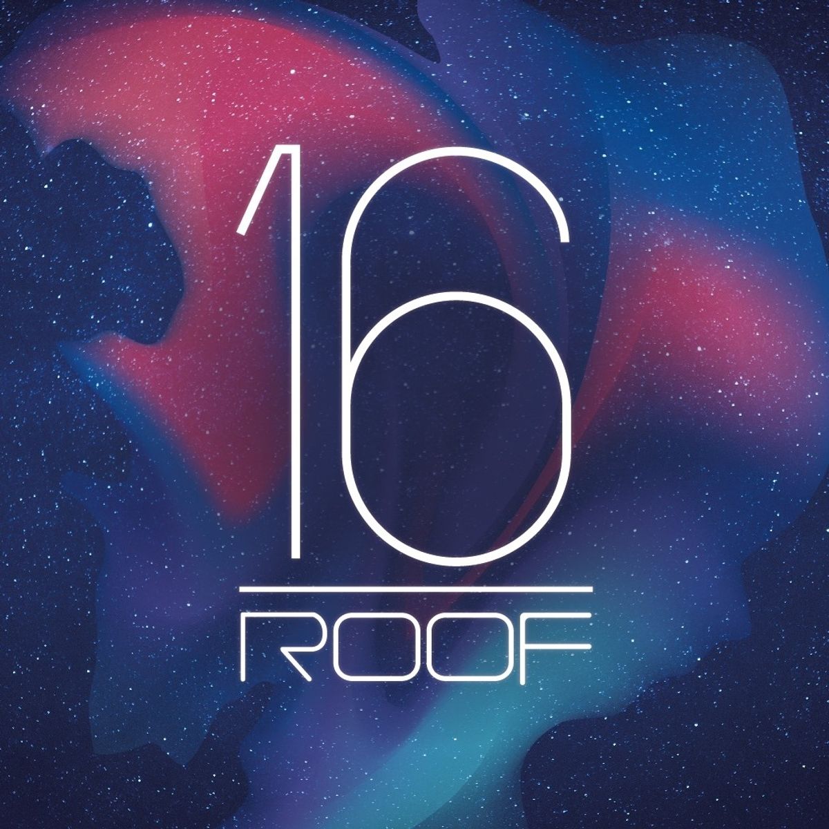 Swissotel 16 Roof