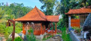 Ahli Pembuatan Rumah Kayu di Kota Probolinggo – Desain Sesuai Kebutuhan Anda