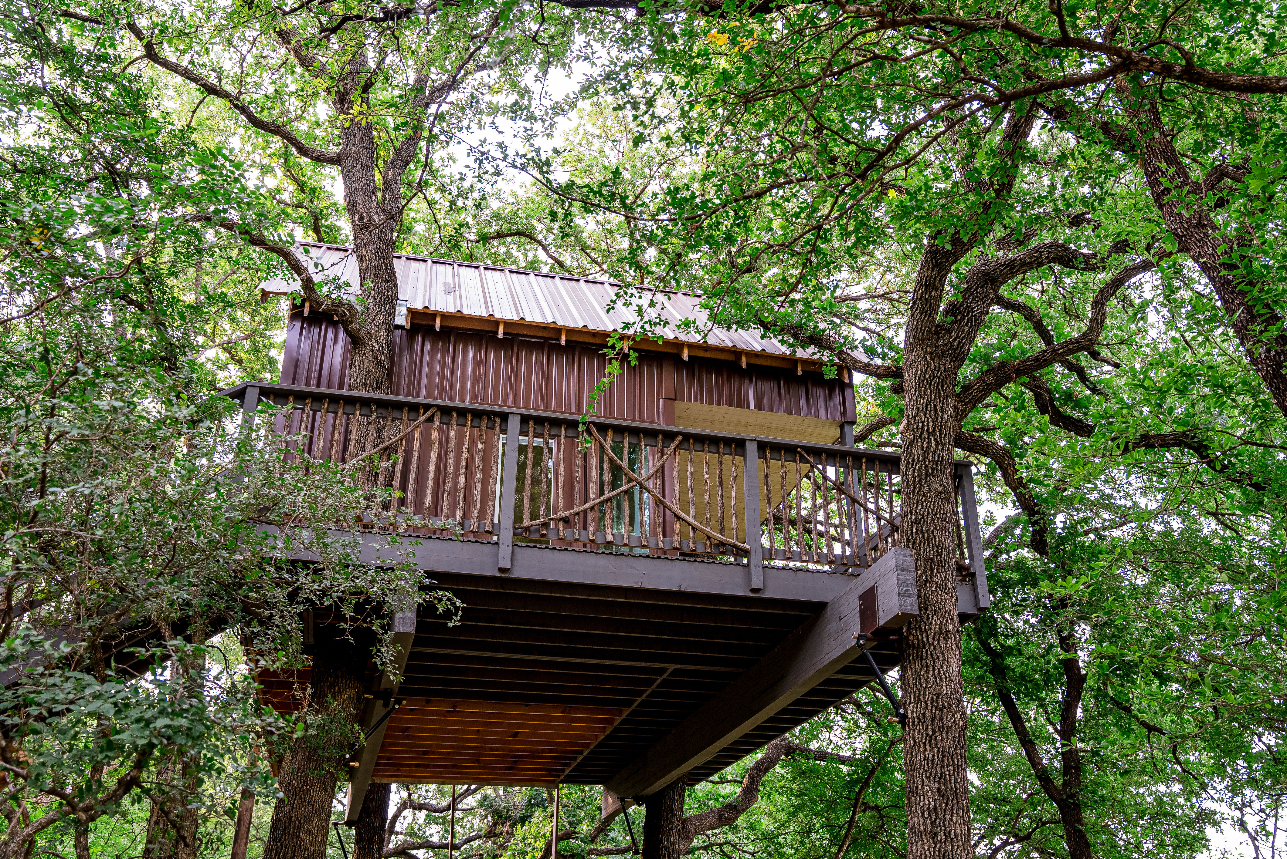 Treehouse View