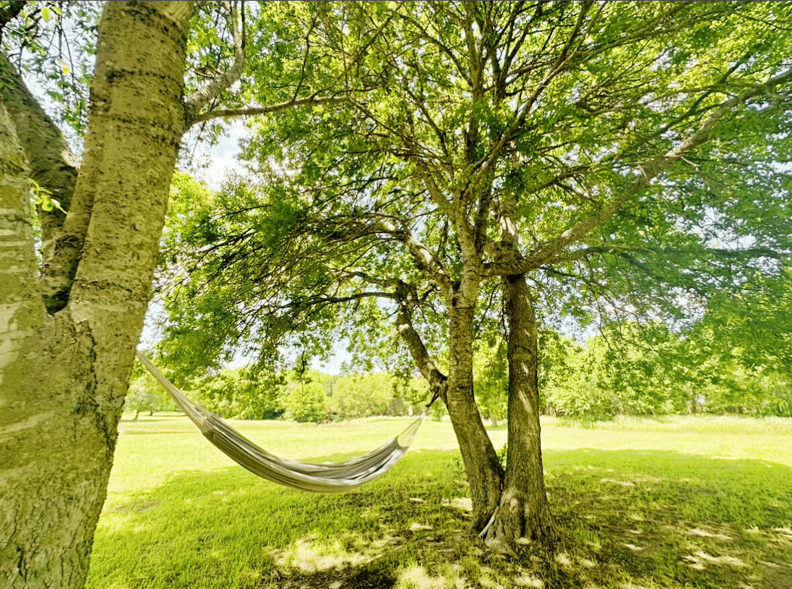Serene Environment