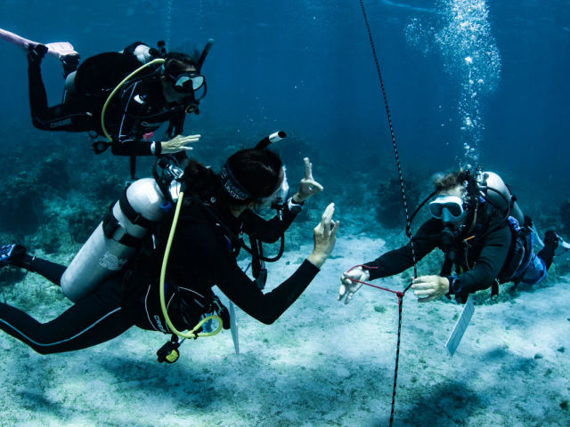 PADI IDC in the best of Caribbean