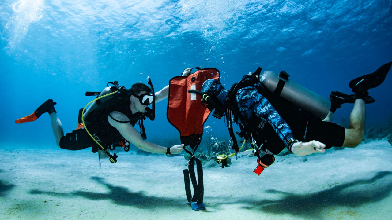 PADI IDC in the best of Caribbean