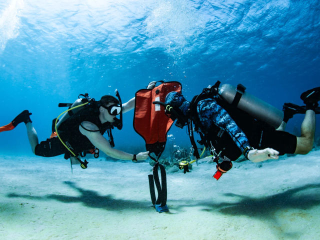 PADI IDC in the best of Caribbean