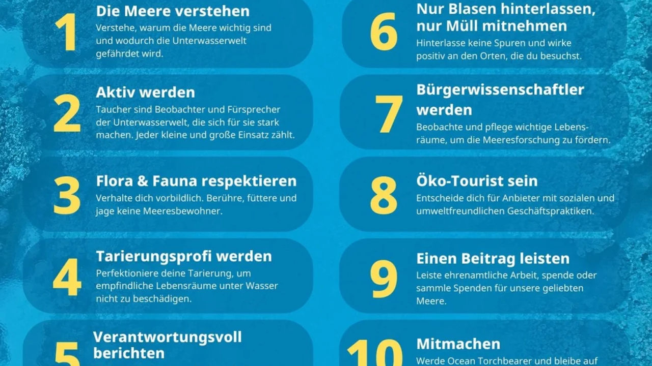 Onlinekurs "Tauchtheorie für Profis"