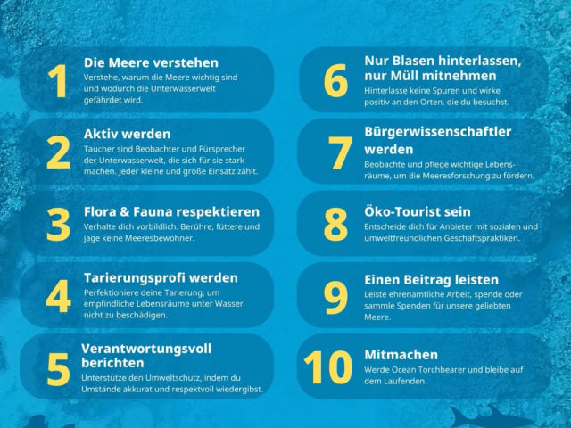 Onlinekurs "Tauchtheorie für Profis"