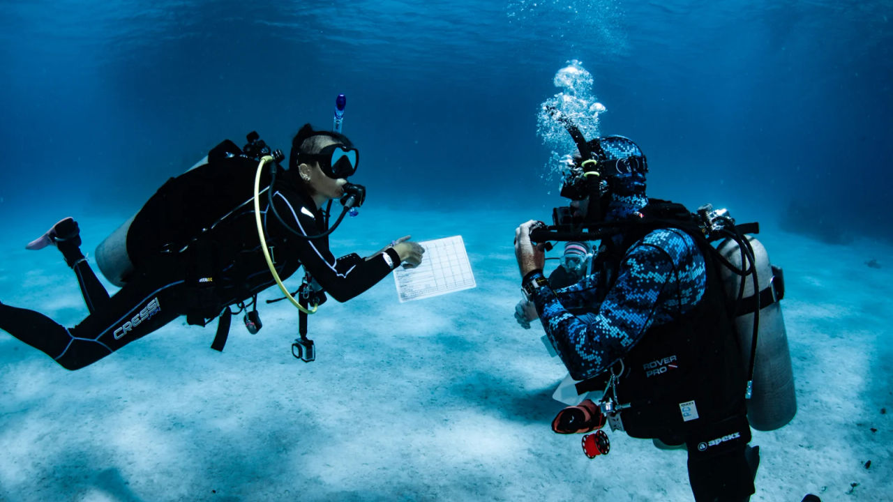 PADI IDC in the best of Caribbean