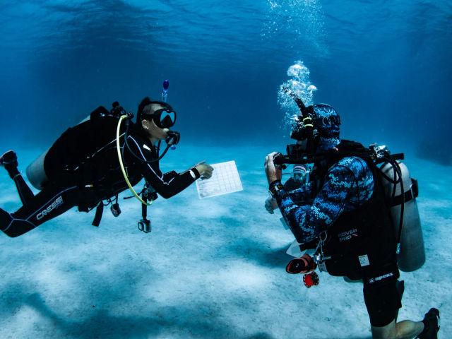 PADI IDC in the best of Caribbean