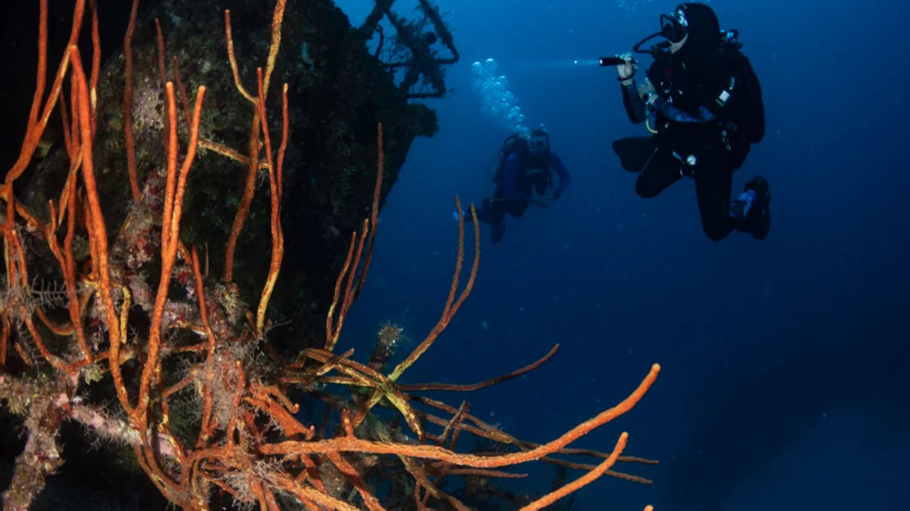 PADI IDC in the best of Caribbean