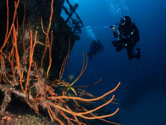PADI IDC in the best of Caribbean