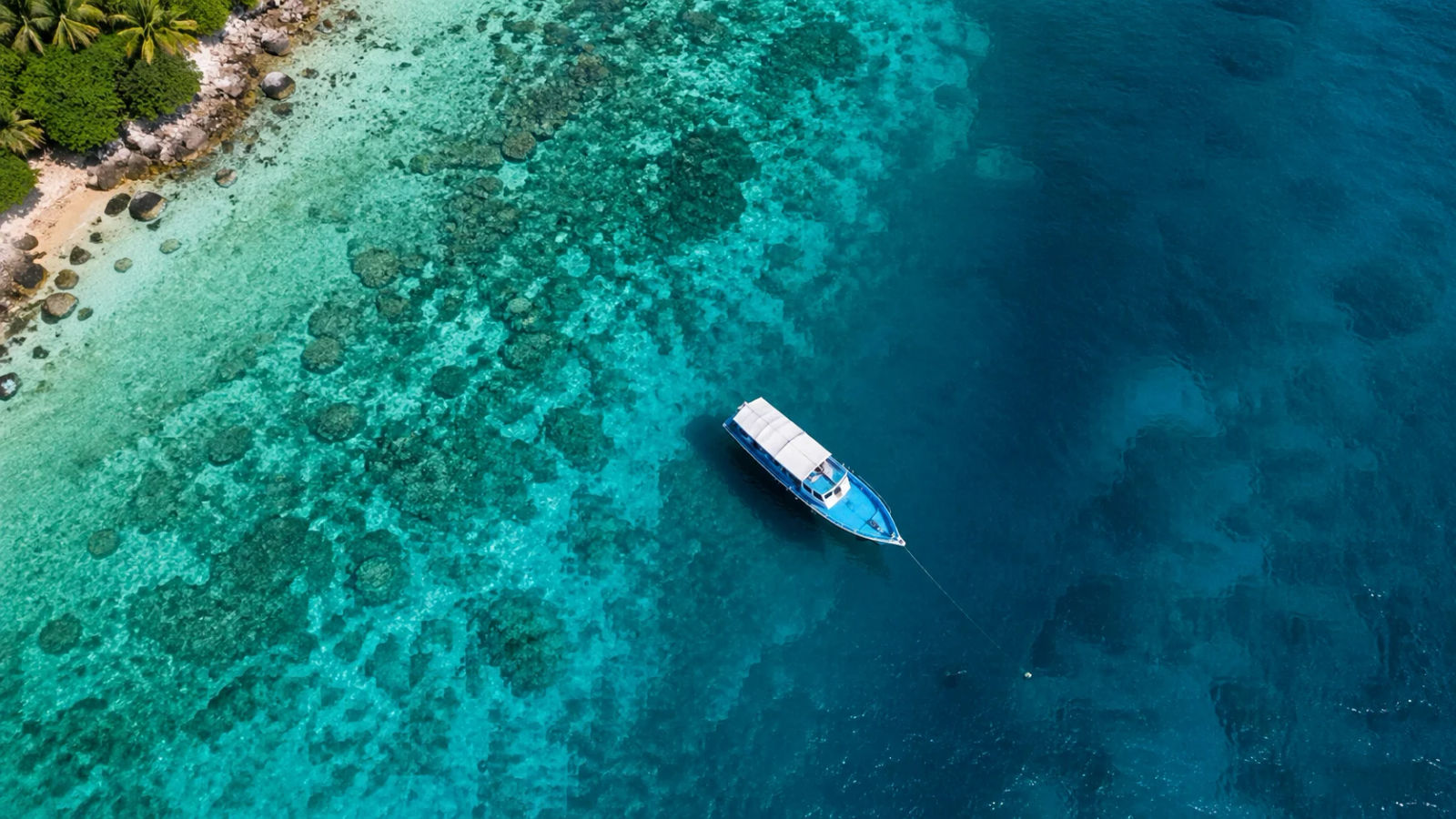 Aerial view of a small dive boat moored above a clear coral reef with a palm-fringed coastline at the edge of the frame