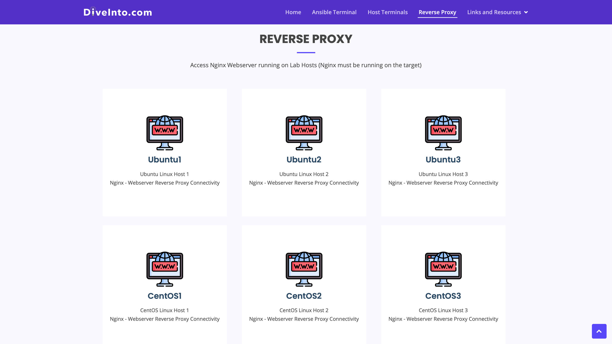Reverse proxy configuration demonstrating advanced networking concepts in the lab