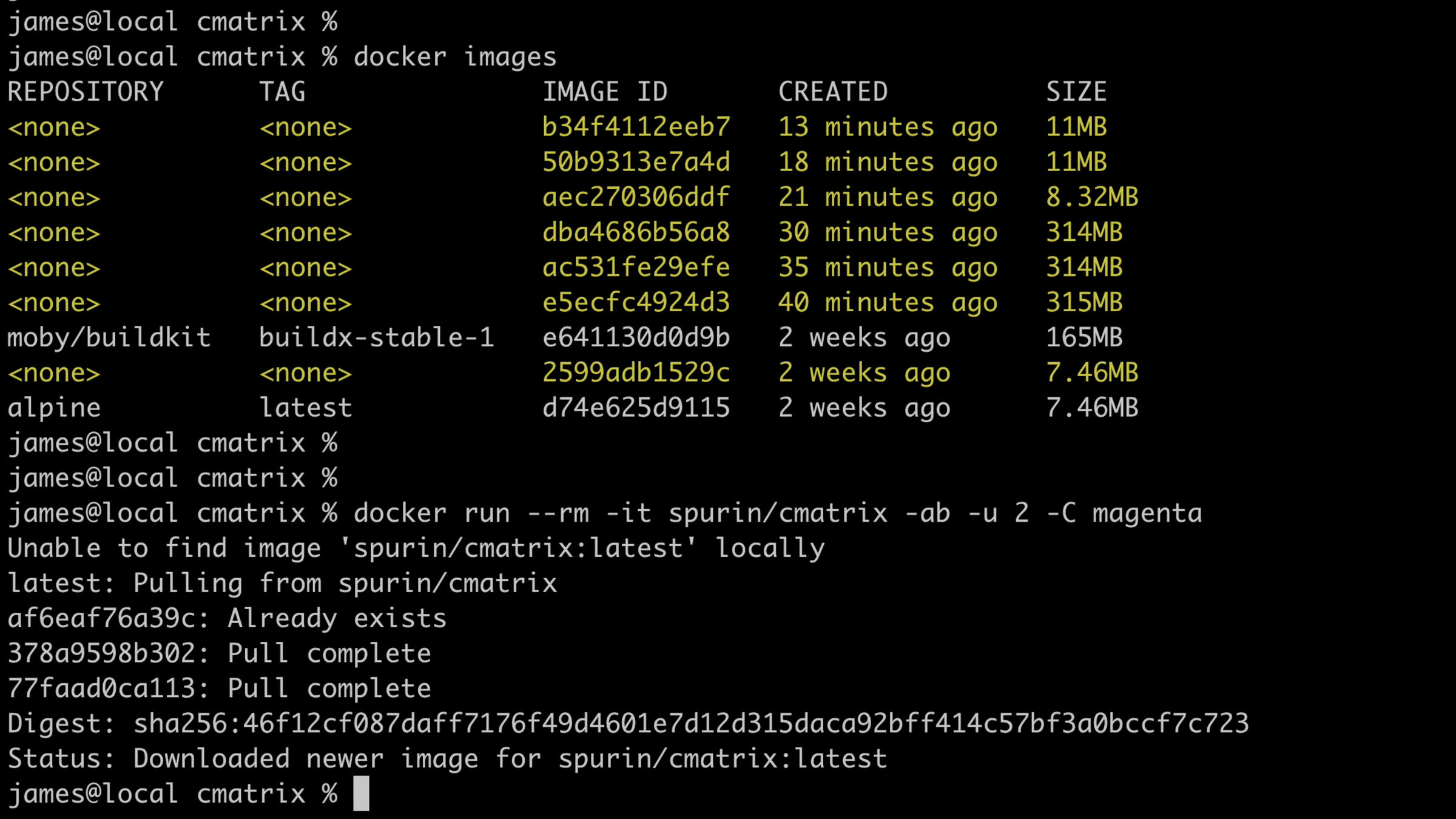 Comprehensive overview of Docker images, tags, and repository management