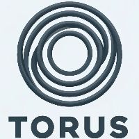 Diverse  Businesses Torus Cleaning Services in Chesapeake VA