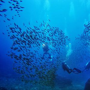  Thailand 泰国 Lanta 兰塔岛 @LazyDiving.com 潜水时光