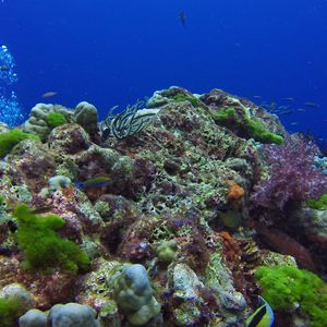  泰国 Thailand , 兰塔岛 Lanta @LazyDiving.com 潜水时光