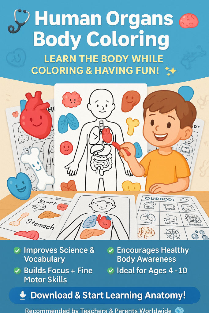 Human Organ Body Coloring
